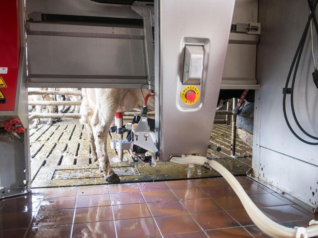 Ferienwohnung Sonnenaufgangsgenuss Harriersand Schwanewede Экстерьер фото