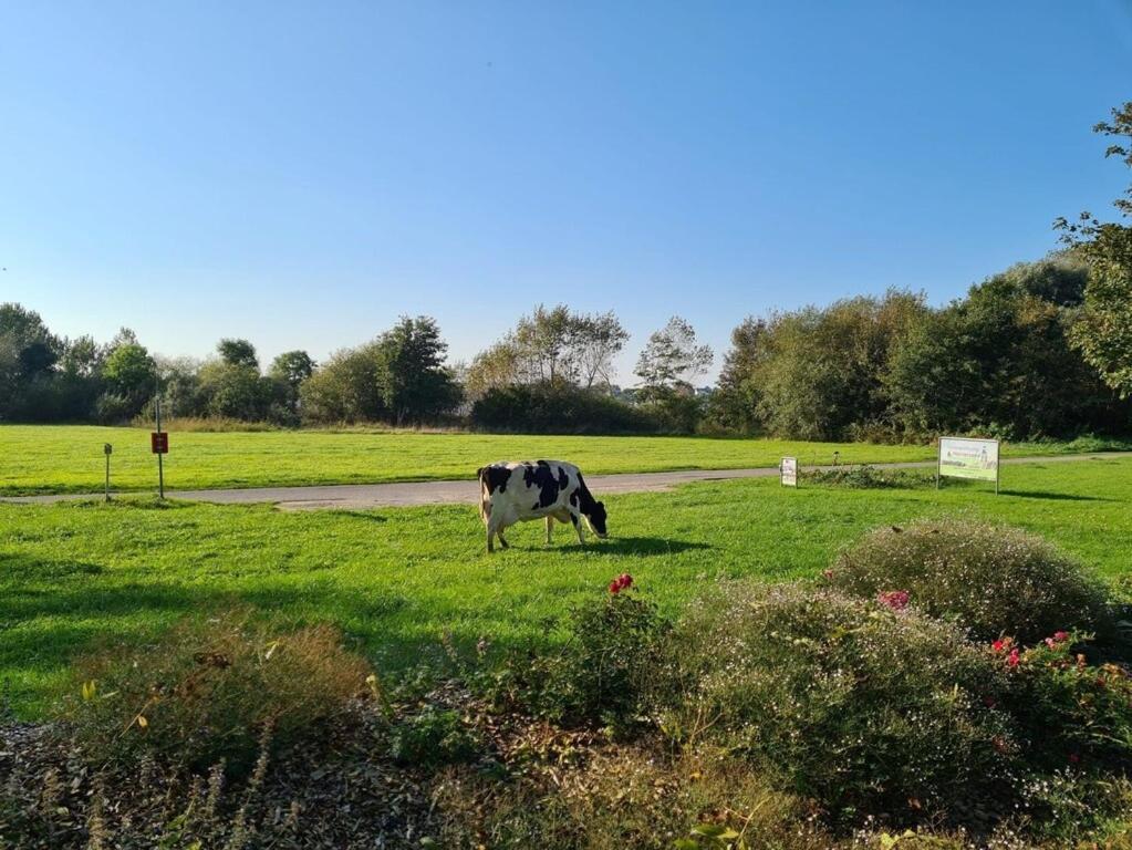Ferienwohnung Sonnenaufgangsgenuss Harriersand Schwanewede Экстерьер фото